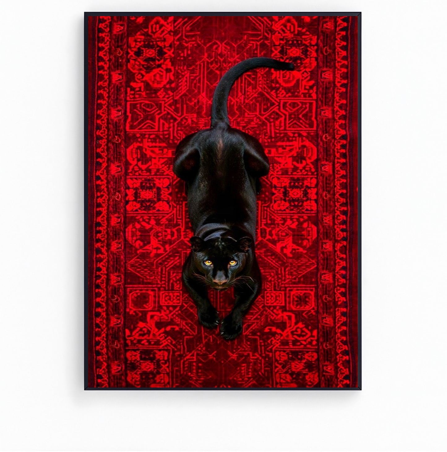 black cheetah