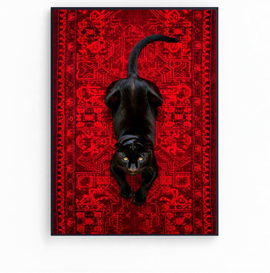 black cheetah