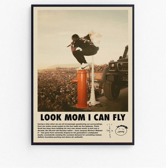 look mom i can fly