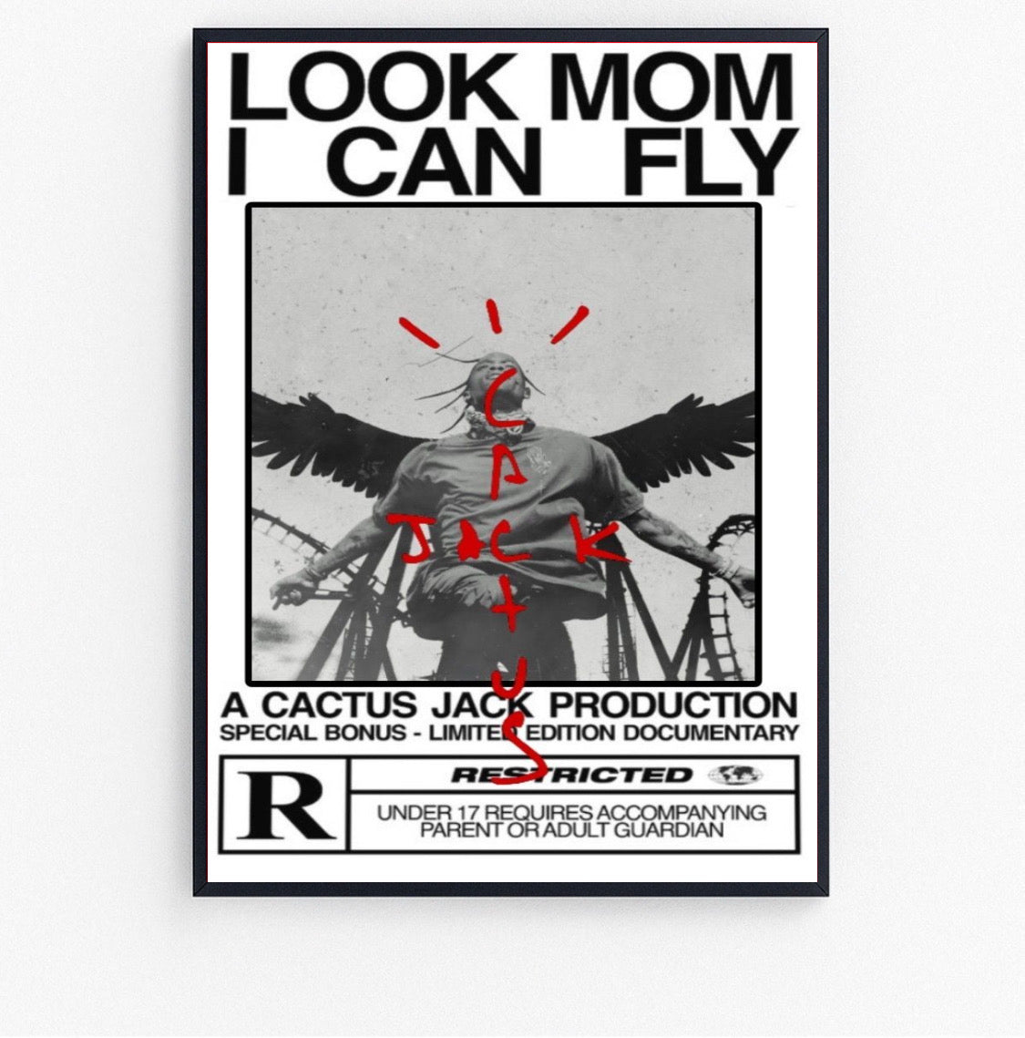 look mom i can fly