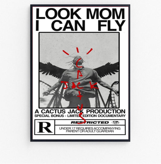 look mom i can fly