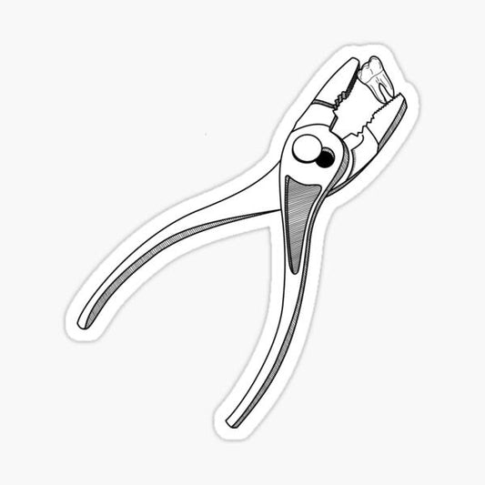 tooth